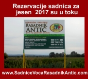 Batajnica - Rezervacija voćnih sadnica i vinove loze za jesen 2017