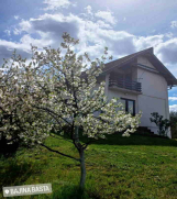 Prodajem porodičnu stambenu kuću u Bajinoj Bašti, naselje Višesava  